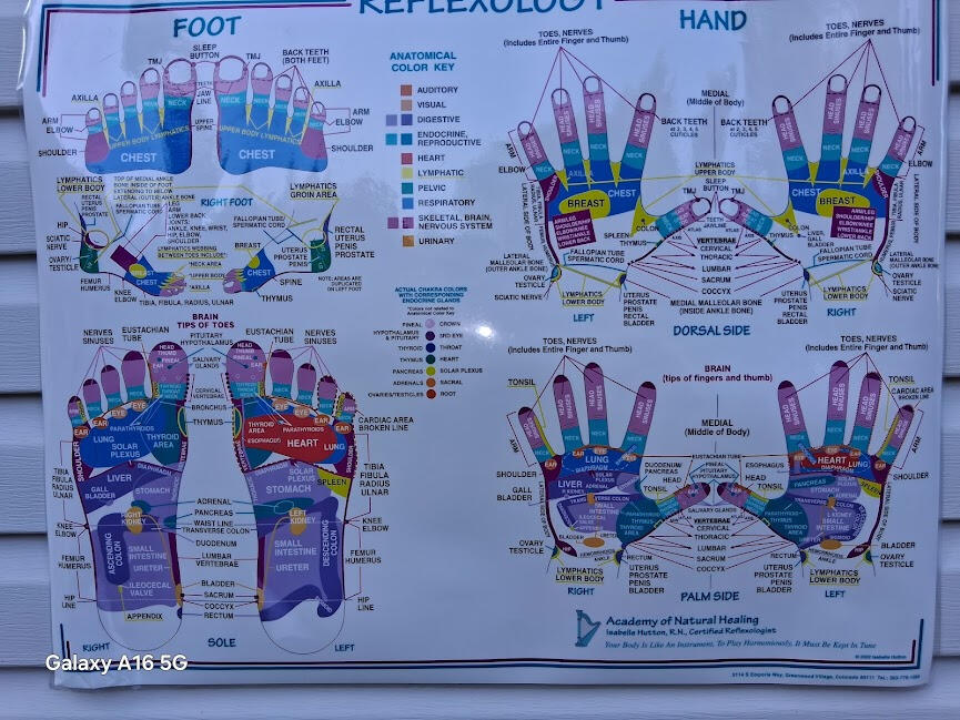 FOOT&HANDCHART